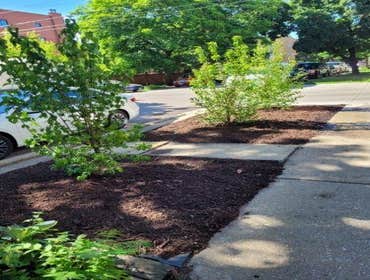 Photos by Rafael Landscaping Inc #1