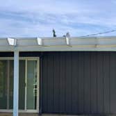 Exterior Painting - Sample work