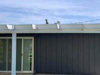 Exterior Painting - Sample work