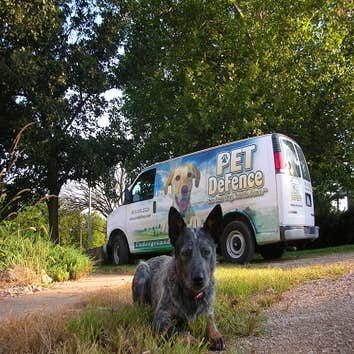 Pet Defence Hidden Dog Fences