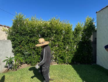 Los Angeles, CA 90019 We specialize in creating stunning backyard and pool designs that combine style, functionality, and relaxation. From custom pools