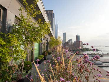 Photos by Brook Landscape Inc #1