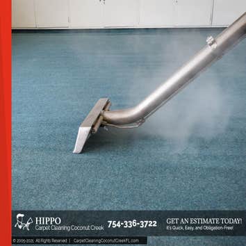 Hippo Carpet Cleaning Coconut Creek
