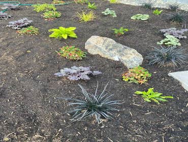 Photos by Maci Landscaping Services LLC #1