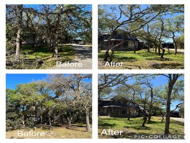 Photos by D.A. Martinez Tree Service #8
