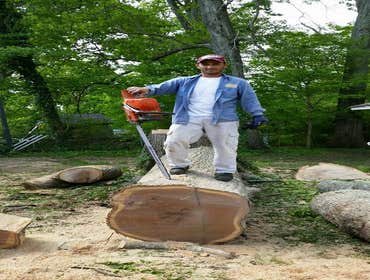 Photos by Mejicanos Tree Care #2