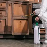 Core Pest Solutions