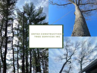 Photos by Ortez Construction & Tree Services Inc #6