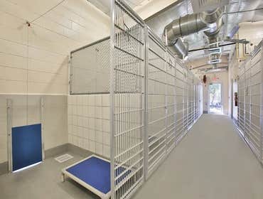 Animal Defense League Kennel Project