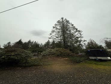 Photos by The Treeman Generation LLC #1