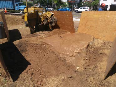 Photos by South Coast Stump Removal