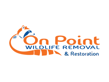 Photos by on Point Wildlife Removal #1