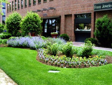 Photos from Two Tims Lawncare, Landscaping & Handyman Services
