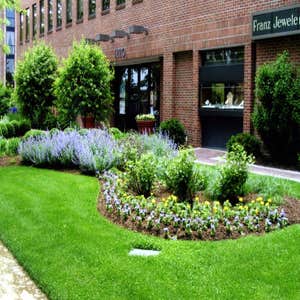 Photos from Two Tims Lawncare, Landscaping & Handyman Services