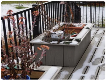 Gladstone Deck and Window Replacement