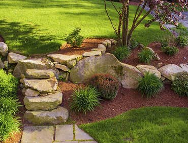 Photos by Happy Tree Landscaping #1