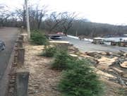 Photos by Don Cele Landscaping #1