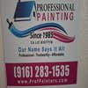 Professional Painting logo