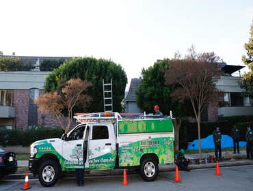 Photos by California Green Tree Care #1