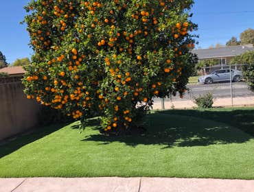 Artificial Grass - Moorpark