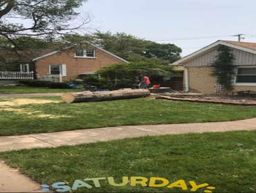 Photos by Sunnyview Landscaping #1