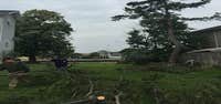 Photos from Big Brothers Tree Service & Landscaping Inc