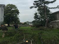 Photos from Big Brothers Tree Service & Landscaping Inc