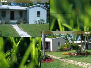 Landscape Design & Installation
