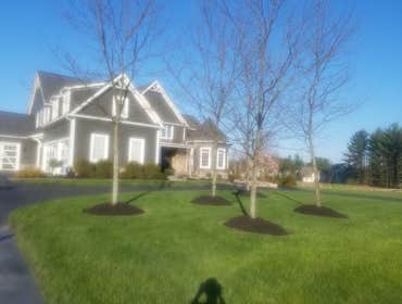 Photos by Jm Landscape and Tree Services #1