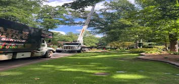 Aable John's Tree Service