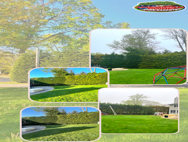 Photos by American Pride Tree Experts & Landscaping Inc #57