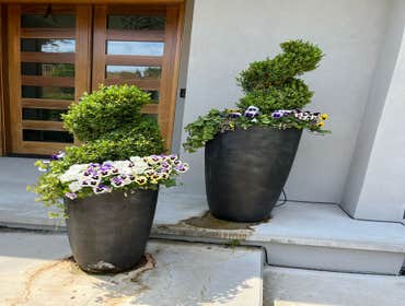Photos by Hernandez ASSOC. Landscaping