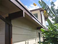 Photos from D&L Island Painting, LLC