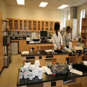 Educational Projects