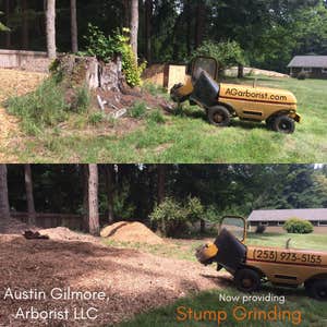 Fox Island Stump Grinding