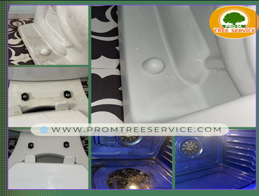 Photos by Pro M Tree Service #69