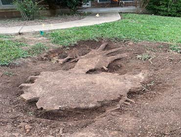 Photos by Atx Blue Star Tree Service #1
