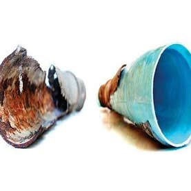 Craftsman Pipe Lining, LLC (DBA Trenchless Pipe Lining)