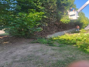 Photos by Valdez Tree Service LLC #1