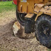 Photos by Capital City Tree Removal Co #1