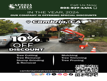 Photos by Cambria Pines Tree Service Inc #6