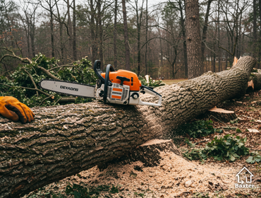 Tree Services in Roswell, GA | Baxter General Contracting
