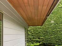 Exterior Painting - Sample work