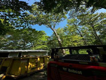 Flores Tree Services General & Landscaping