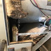 Photos by Speedy AC Duct Cleaning Service® #1