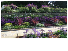 Photos by Foothill Nursery & Landscape Inc #1