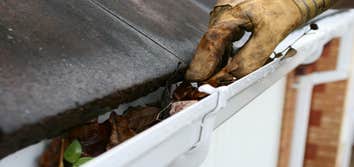 Photos by Miracle City Gutter Solutions #1