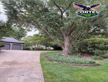 Photos by Cortes Lawn Care LLC #1
