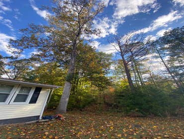 Photos by Carlos Tree Service #14