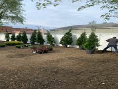 Ground leveling and lawn seeding